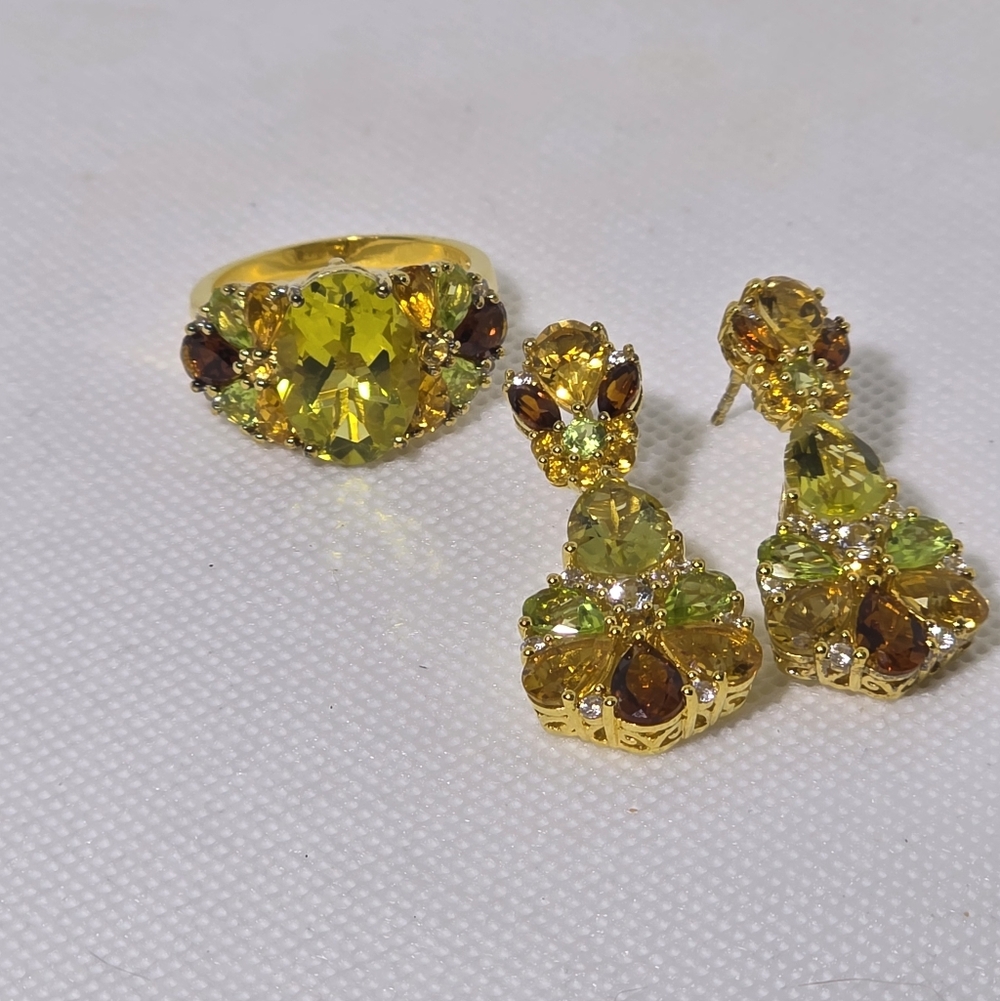 Victoria Wieck Multi Gemstone Ring With Matching Earrings